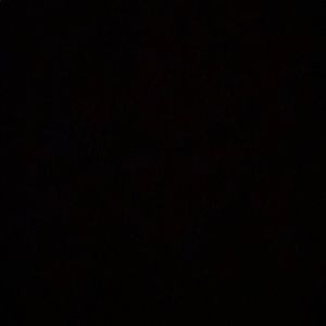 Meet your Posher, Payton